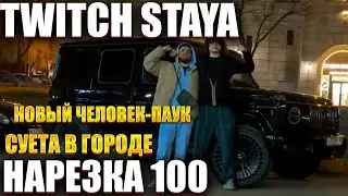 TWITCH STAYA НАРЕЗКА 100 | СТАЯ НАВОДИТ ШУМУ
