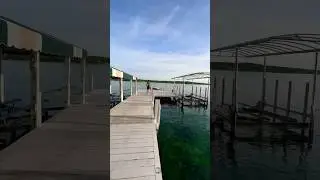 He jumped on a shark…