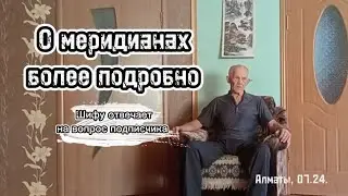 О меридианах более подробно / Шифу отвечает👍🏻