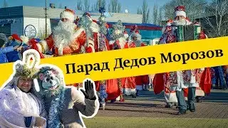 Парад Дедов Морозов и Снегурочек в Добринке