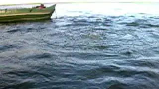 Methane Bubbles to the Surface of an Arctic Lake
