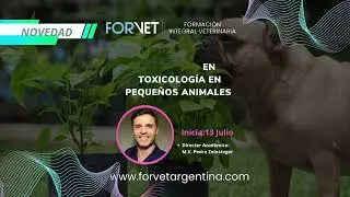 próximos inicios JULIO 2023 - FORMACION PARA VETERINARIOS