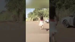 Hai Hai