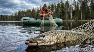 Hunting for a lake CROCODILE