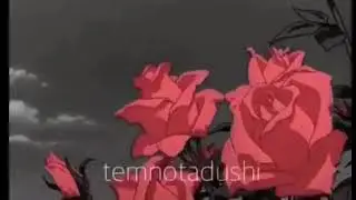 Горькая правда😖