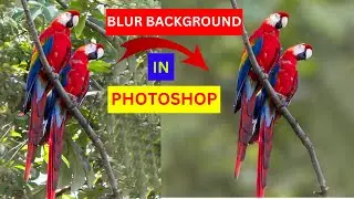 Create realistic background blur in photoshop | FT Motion and Graphics