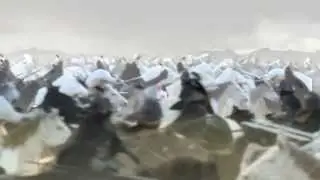 GREE - KLIMATYZATORY