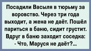 Как Васыль соседке засадил! Сборник свежих анекдотов! Юмор!