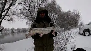 Коробки для приманок