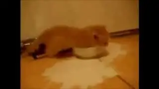 Молочный наркоман ;)