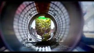 MT Tumbler 500 | Production Line. Automate easily your trimming process.