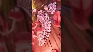 wedding photography cinematic shoot 
