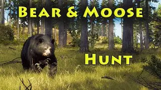 Bear & Moose Hunt! - Way of the Hunter