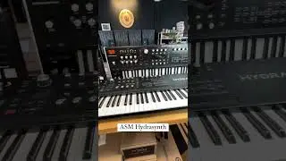 ASM Hydrasynth 👀 