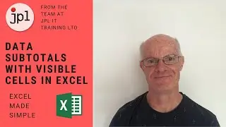 Data Subtotals with Visible Cells feature in Excel
