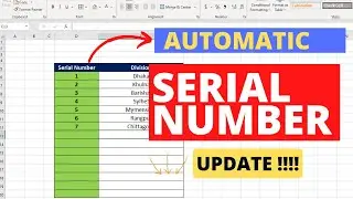 Updating the serial Number Automatically in Excel