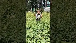 Cute baby, #Kyalsound, #trending #viral #shortvideo
