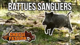 BATTUE AUX SANGLIERS AVEC MA BROWNING MARAL 4X