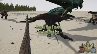 The sub-adult rex