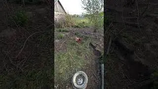 Что такое квочка (ответ) 4 мая 2023 г.