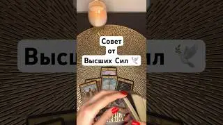 Совет от Высших Сил 🕊️