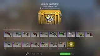 Revolver Case Opening (2x Cases)