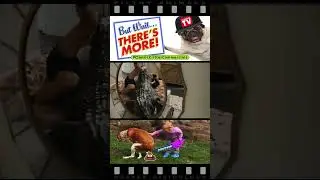 Romantic Alligator Surprise