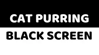 CAT PURRING | 10 Hours | Soothing Sound, Relax, Study