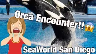 SEAWORLD SANDIEGO - ORCA ENCOUNTER