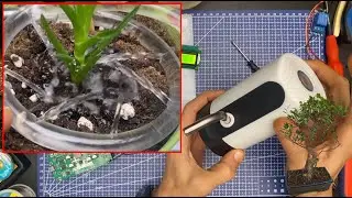 Bonsai Tree Auto Irrigation DIY using ESP32 No Overwatering Guaranteed/ Yellow Leaves Issue Solution