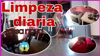Organização diaria da casa inteira