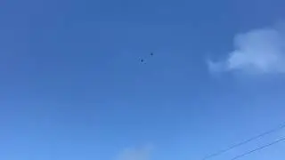 Николаевские торцовые голуби, красивый полет на фоне синего неба