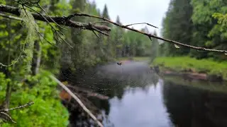 Часть2. Сплав по р.Югна - р.Ваеньга 11.06-14.06.2024г.