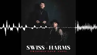 Folge 17 - Die Qual der Wahl - SWISS+HARMS - ZWISCHEN TOUR+ANGEL