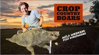 The Honey Hole. Pig Hunting NSW Australia