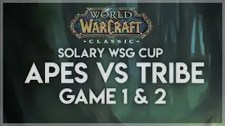 APES VS TRIBE | Classic WoW WSG Tournament Finals (French)