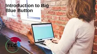 Introduction to Big Blue Button (for students)