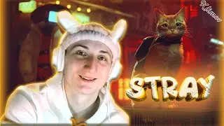 stray ,сюжет stray пересказ сюжета stray,о чем игра stray,весь сюжет основной сюжет stray stray игра