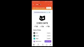 How to Withdraw CATS  Airdrop to BYBIT Wallet - How to link CATS withdrawal link in BYBIT Wallet