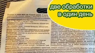 9 июля Есть плоды с вершинкой и бабочки настораживают