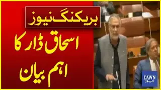 Important Statement Of Ishaq Dar | Breaking News | Dawn News