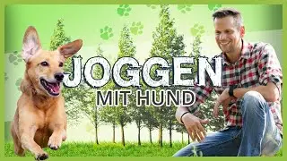 JOGGING with DOG: With these tips it really works