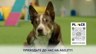 Містер Кукі від Abalmasov ABD-video Production