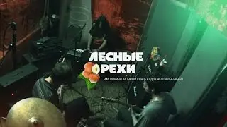 Лесные орехи, импровизация 2012