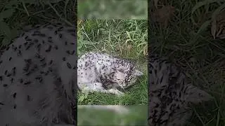 ЖАЛКО ЕГО😭😭😭