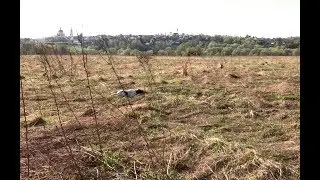 Брайт тренировка по дупелю