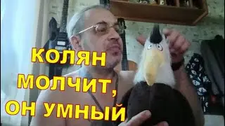 КОЛЯН МОЛЧИТ, ОН УМНЫЙ 🙂🙂🙂