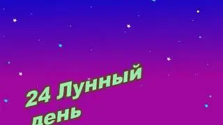 24 лунные сутки