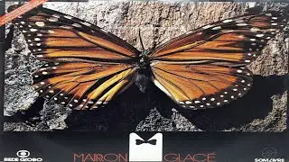 1979 = Marrom Glacé - Internacional (TV Globo)