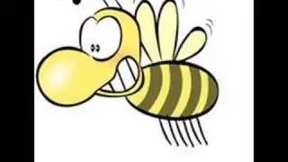 Baby BumbleBee